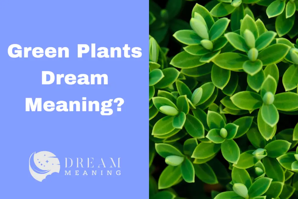 Dream Analysis What Does It Mean When You Dream About Green Plants