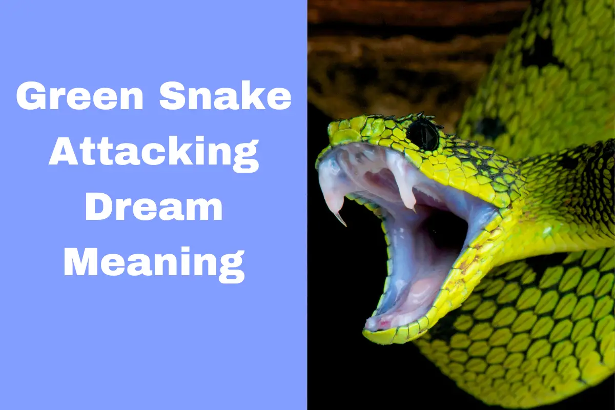 dream of green snake meaning