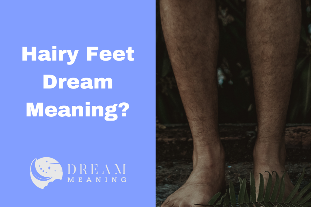 dreaming-of-hairy-feet-here-s-what-it-could-mean-the-dream-meaning