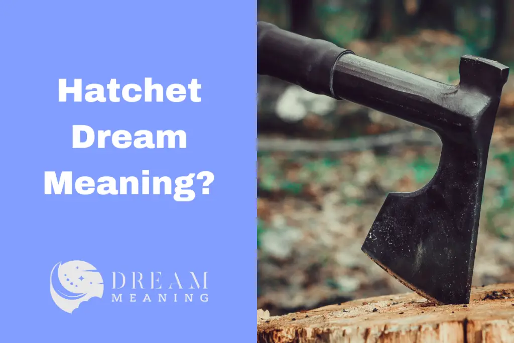 hatchet-dream-meaning-what-does-it-symbolize-and-how-to-interpret-it