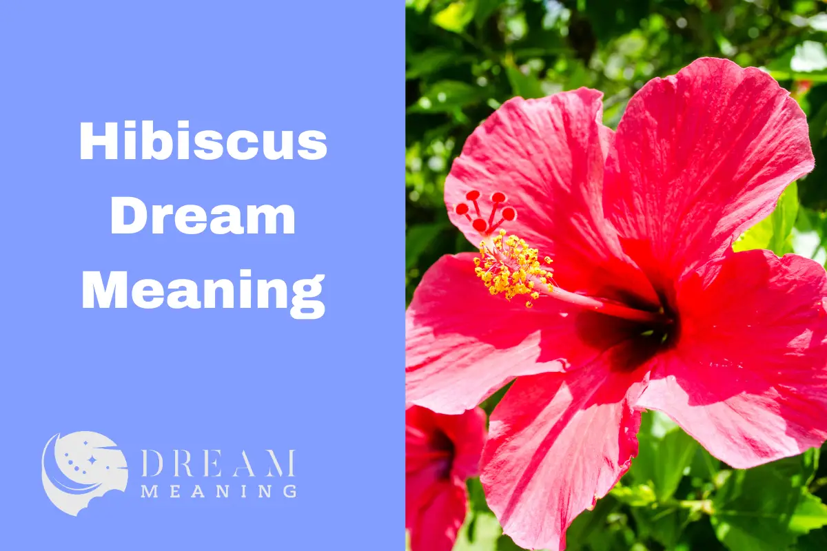 Dreaming Of Hibiscus Uncovering The Hidden Meaning Behind It The