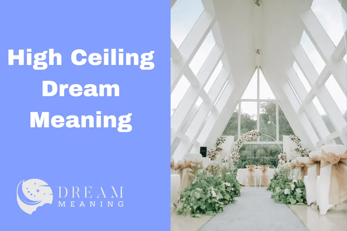 Understanding High Ceiling Dream Meaning An InDepth Analysis The Dream Meaning