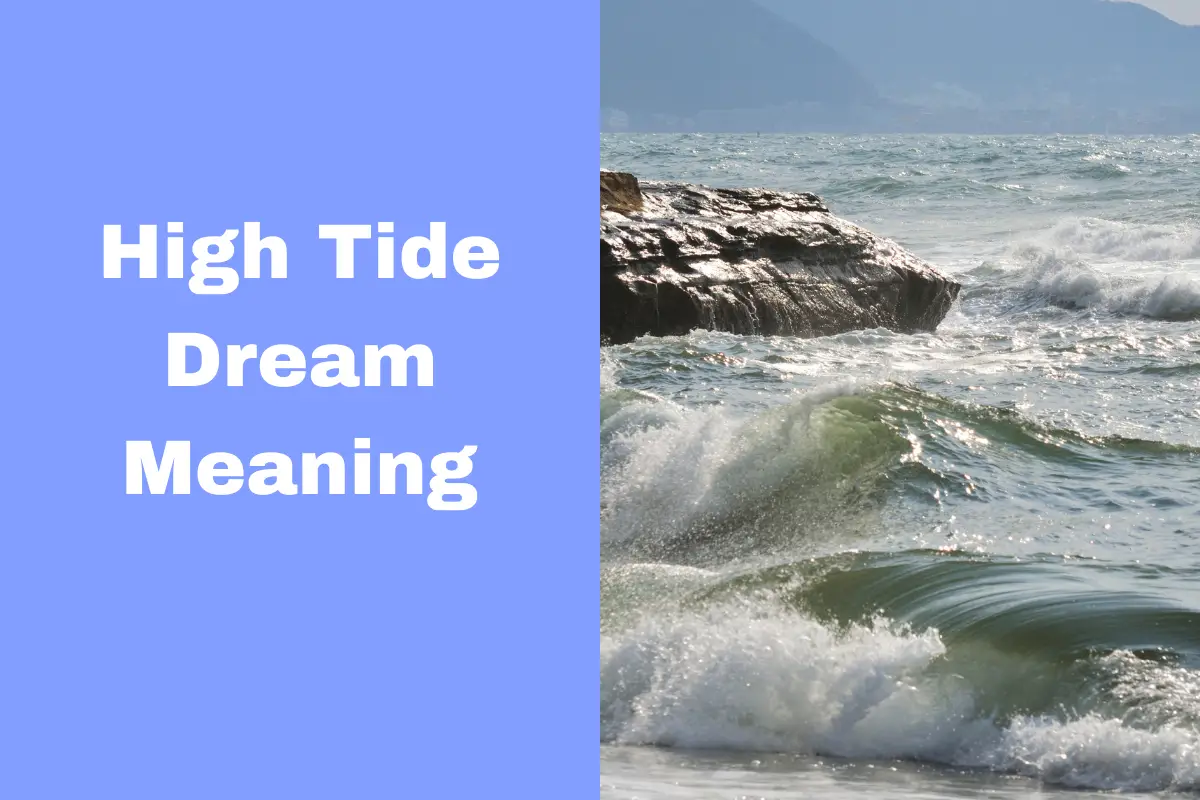 High Tide Dream Meaning