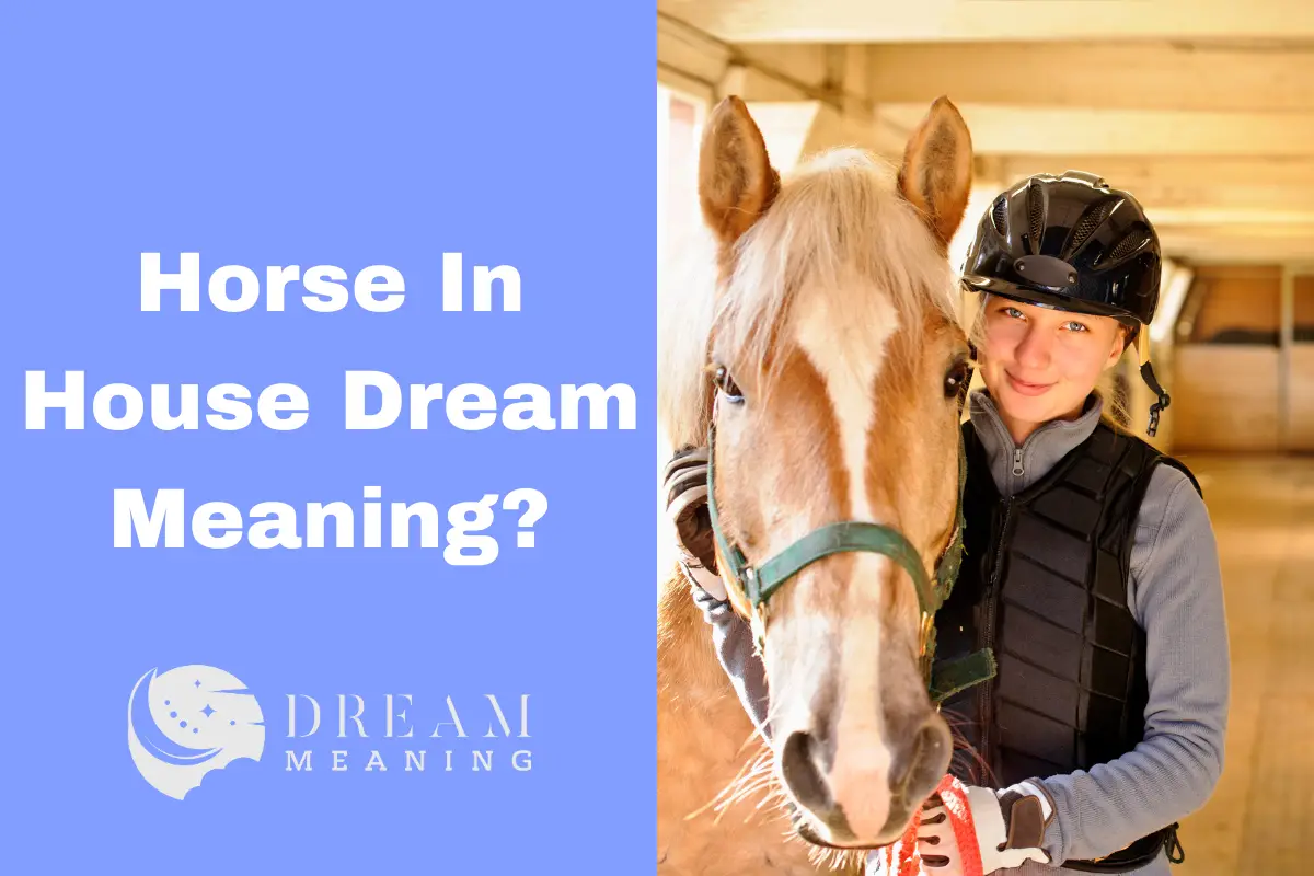 Horse In House Dream Meaning