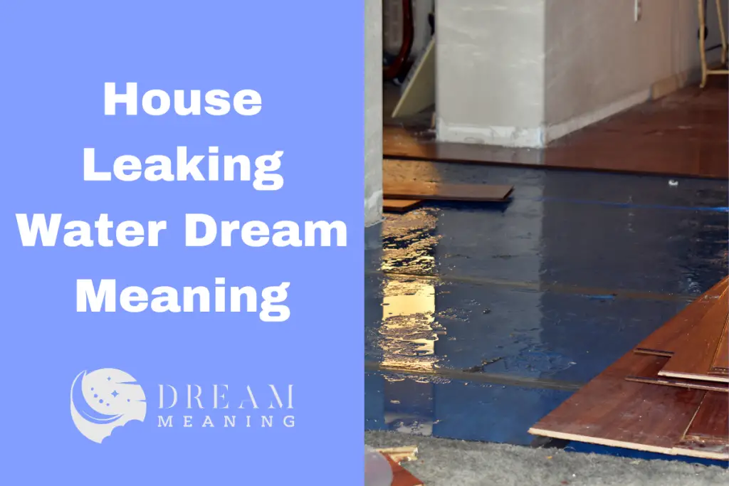 Meaning Of Dream House Leaking Water