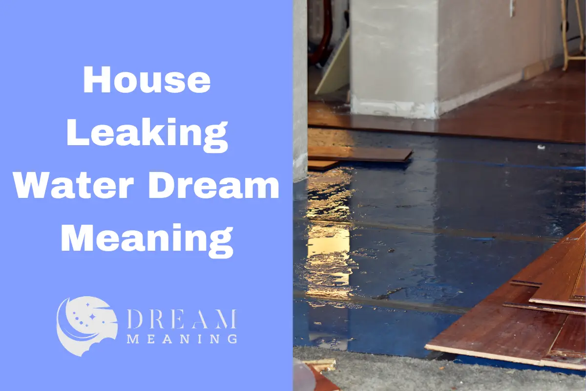 dreams-about-house-leaking-water-what-does-it-mean-the-dream-meaning