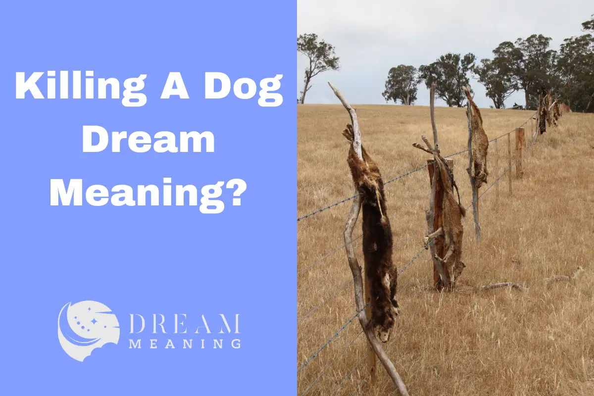 What Killing A Dog In Your Dream Really Means Uncover The Hidden