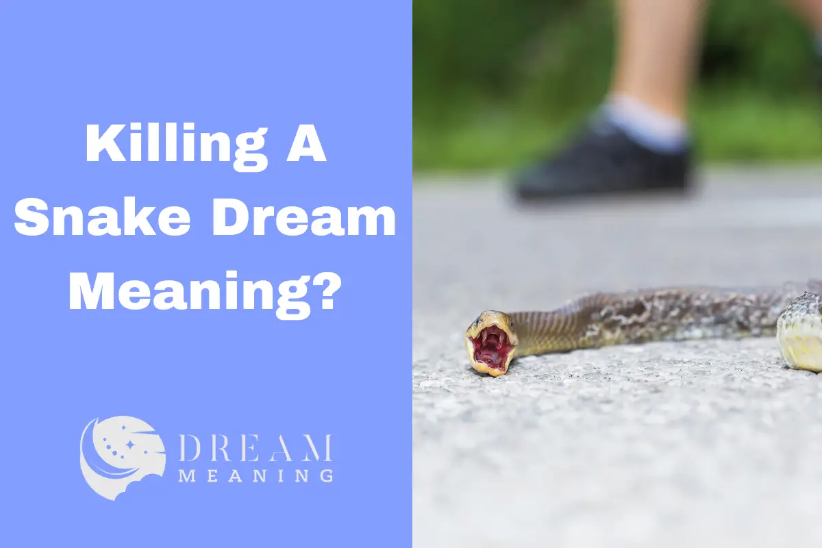 killing-a-snake-dream-meaning-what-does-it-mean-the-dream-meaning