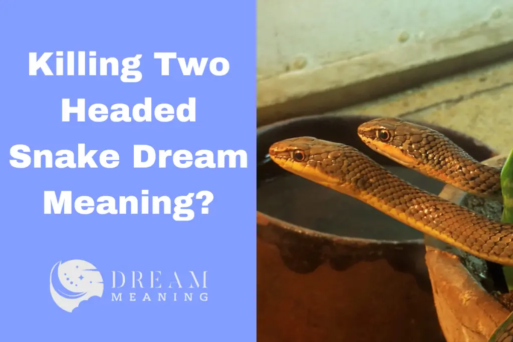 Killing Two Headed Snake Dream Meaning What Does It Mean? The Dream