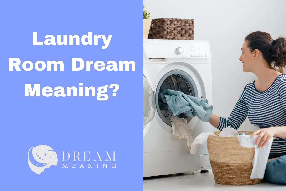 dream-meaning-of-a-laundry-room-what-it-could-mean-for-you-the-dream