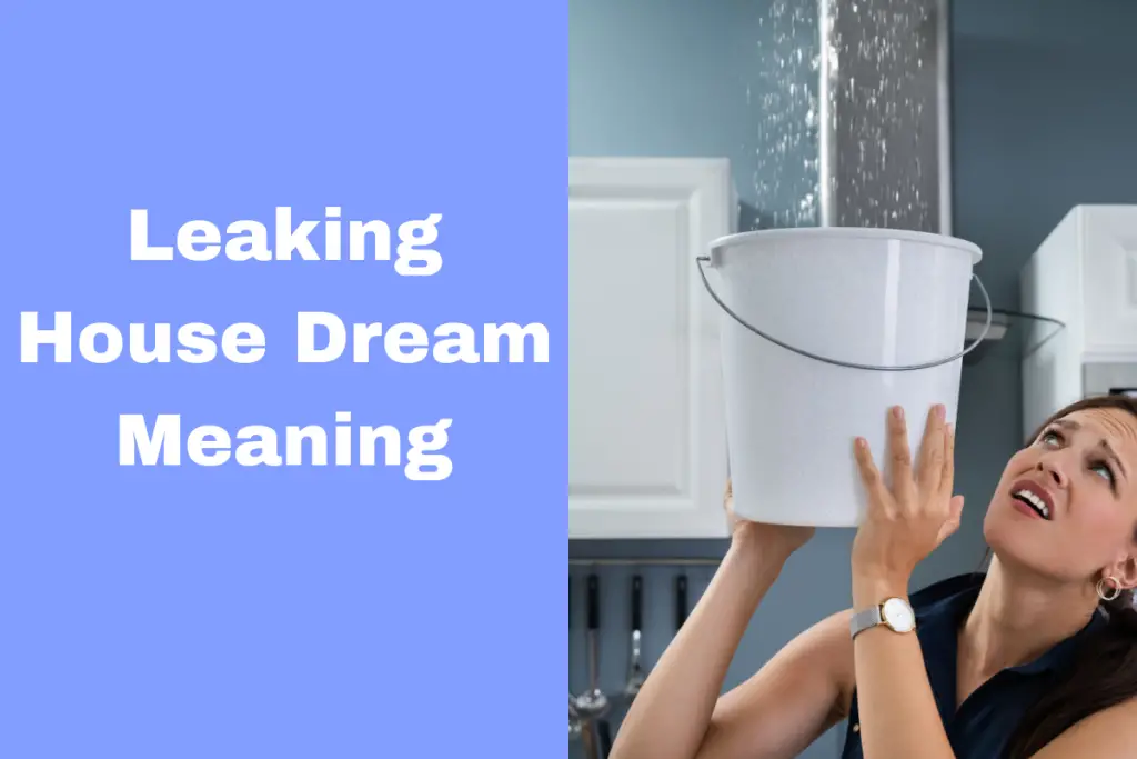 what-does-it-mean-when-you-dream-about-a-leaking-house-uncovering-the