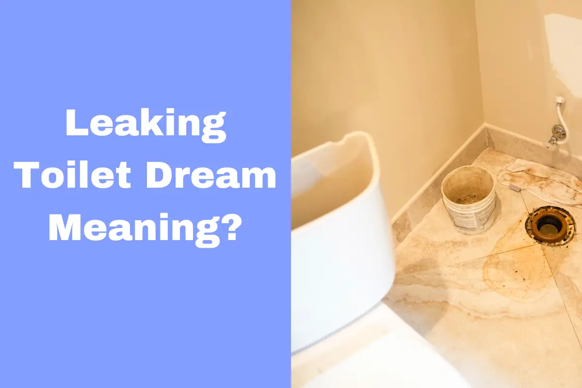 dream-meaning-of-a-leaking-toilet-what-does-it-reveal-about-your-life