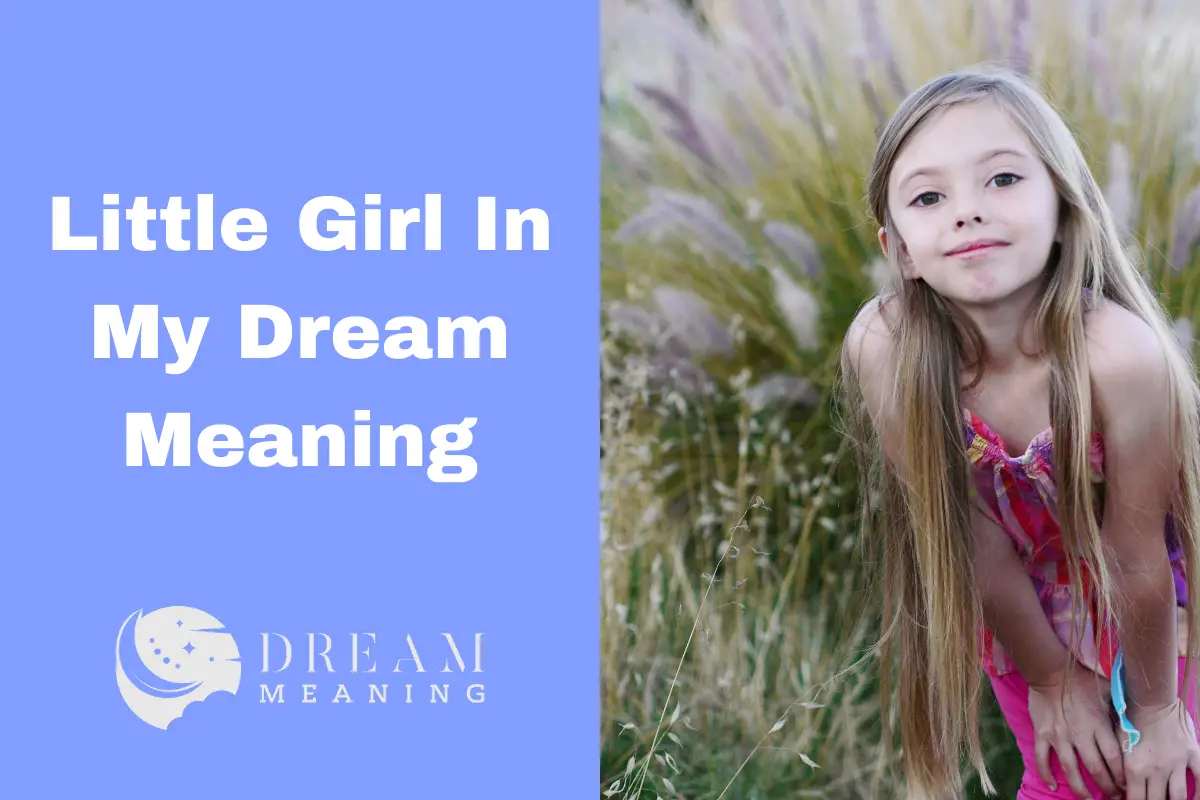 Little Girl In My Dream Meaning