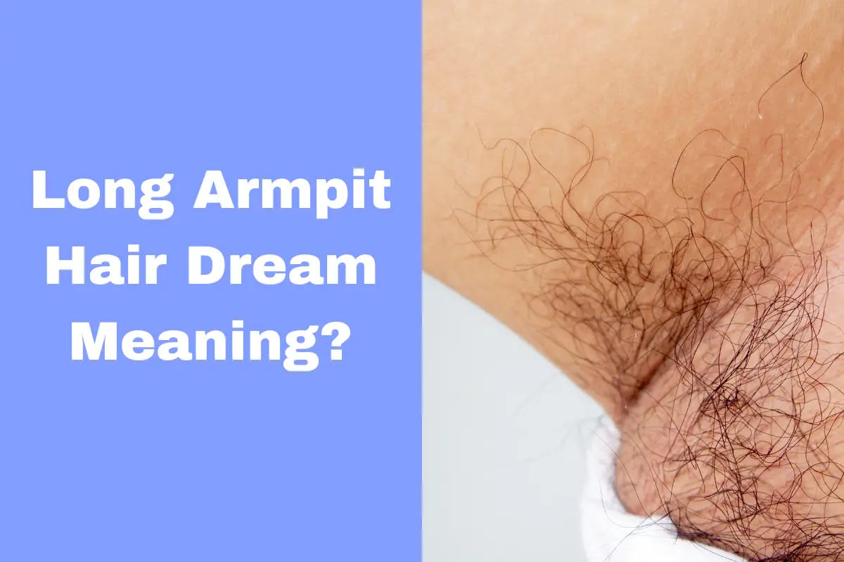 Long Armpit Hair Dream Meaning