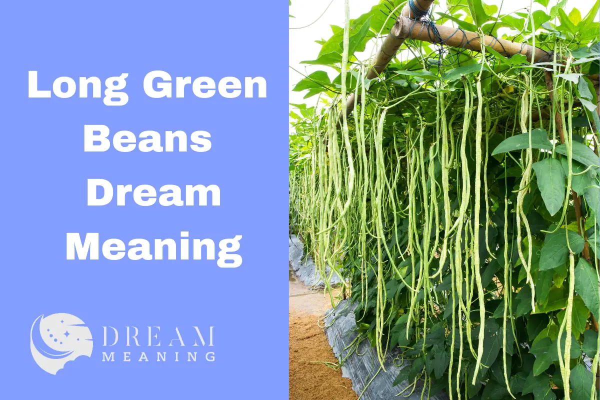 dream-analysis-what-does-long-green-beans-mean-in-your-dreams-the