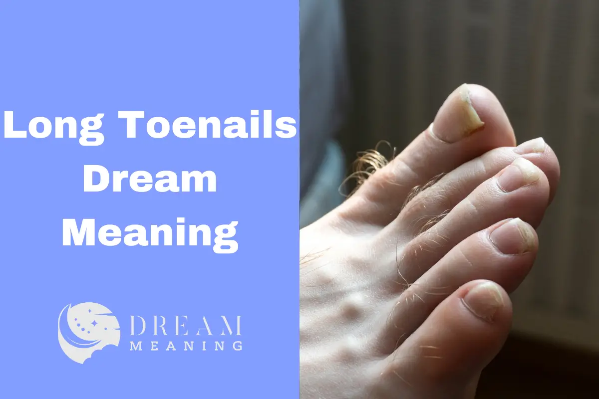 What Does Toenails Mean In A Dream at Dorothy Boots blog