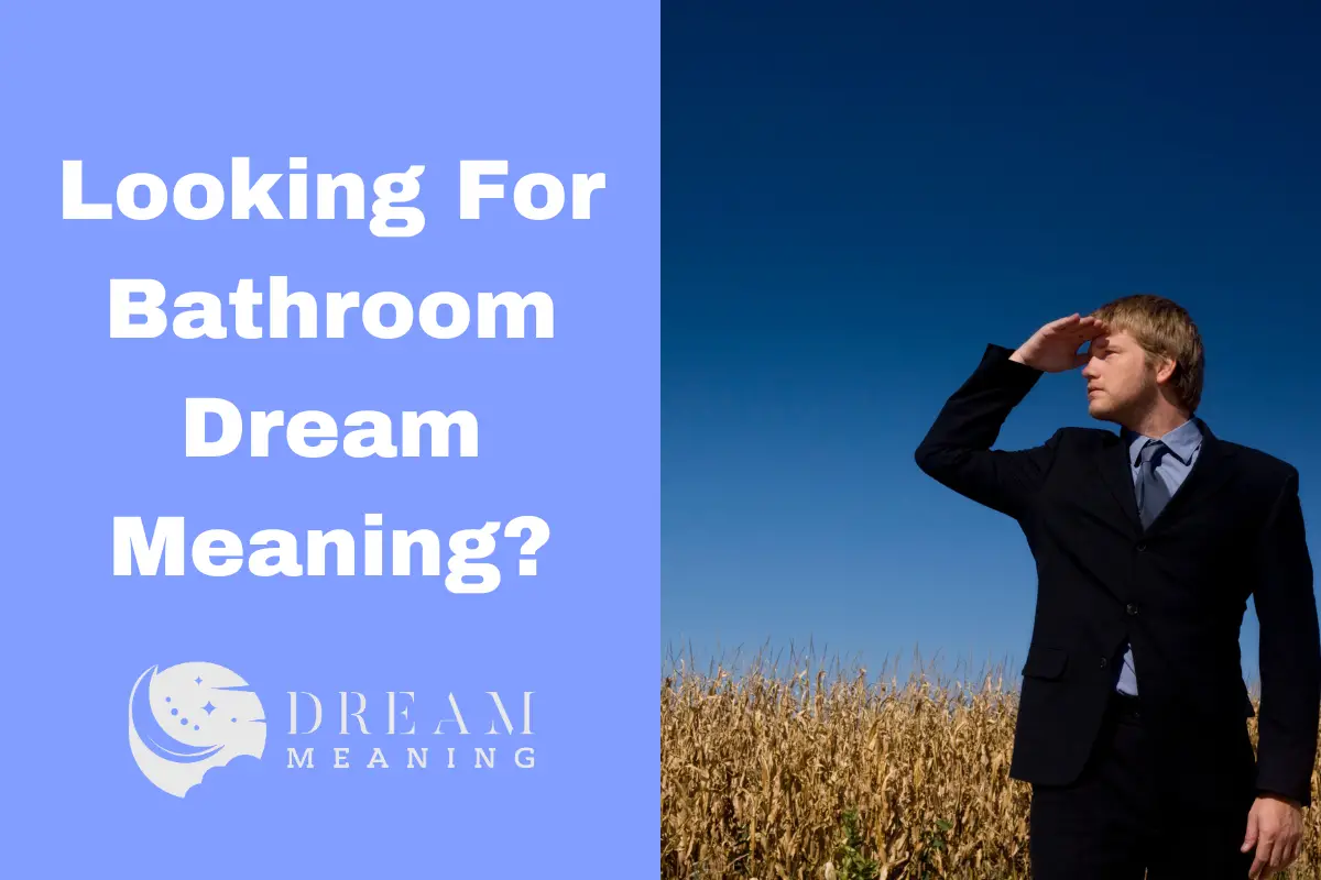 Looking For Bathroom Dream Meaning