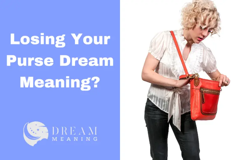 Dreaming About Losing Your Purse? Here's What It Means The Dream Meaning
