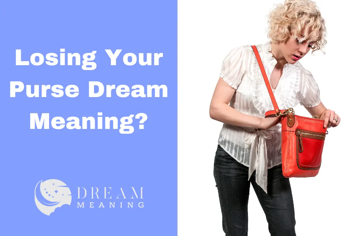 dreaming-about-losing-your-purse-here-s-what-it-means-the-dream-meaning