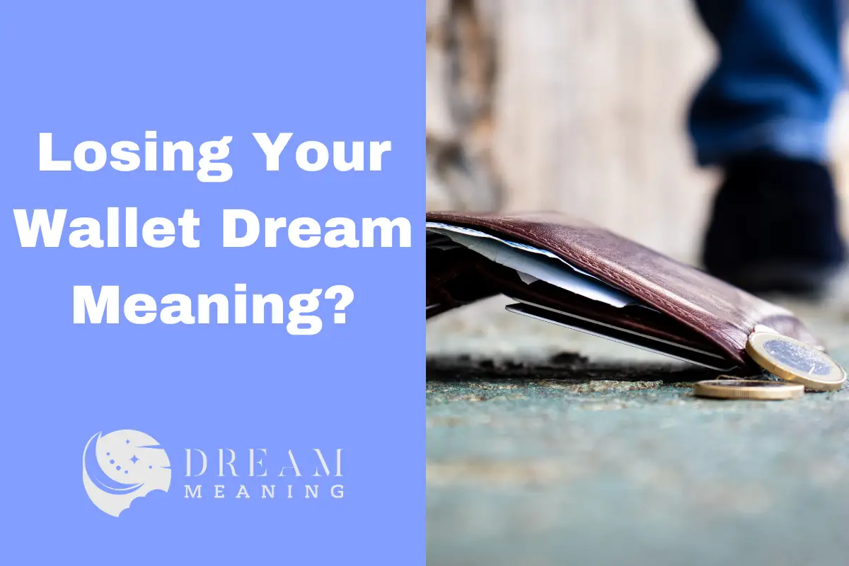 dream-meaning-of-losing-your-wallet-what-does-it-signify-the-dream