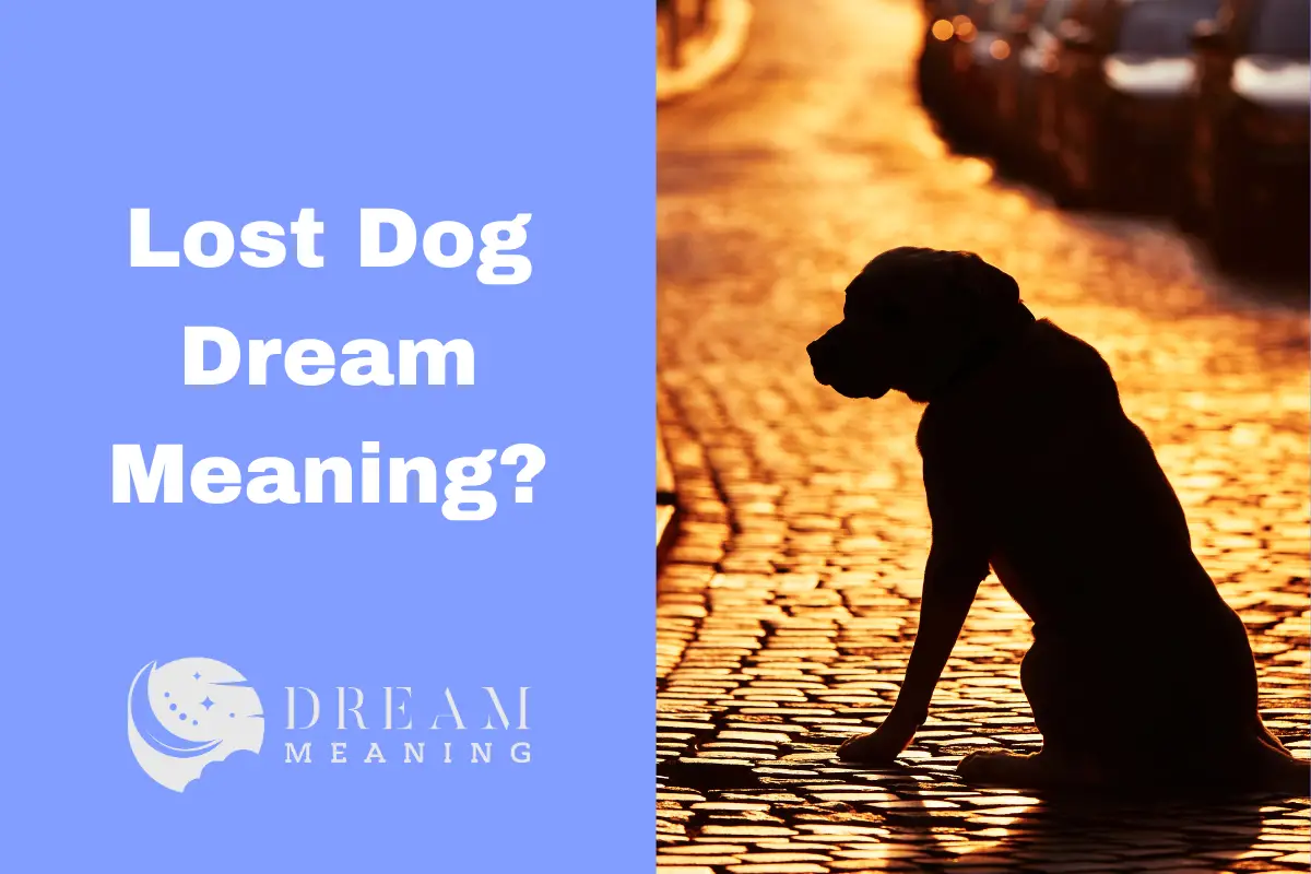 lost-dog-dream-meaning-uncover-what-your-dreams-are-telling-you-the