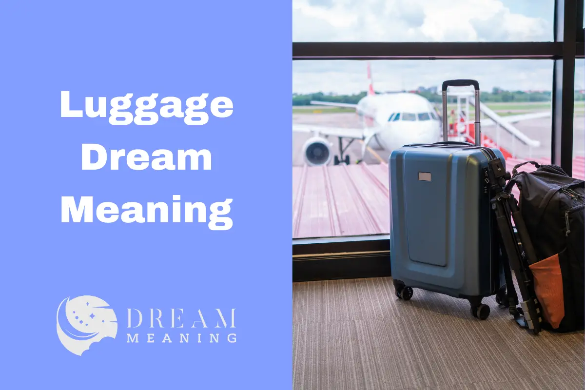 dream-interpretation-what-does-your-luggage-mean-in-a-dream-the