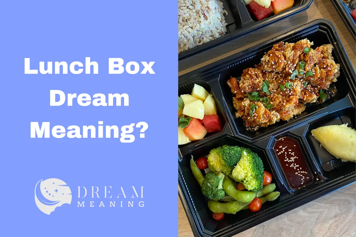 Lunch Box Dream Meaning