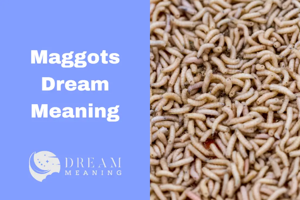 15-facts-about-maggots-mental-floss