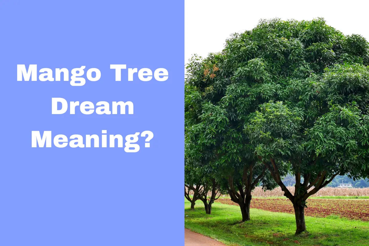 Mango Tree Dream Meaning Uncover Hidden Symbols and Interpretations