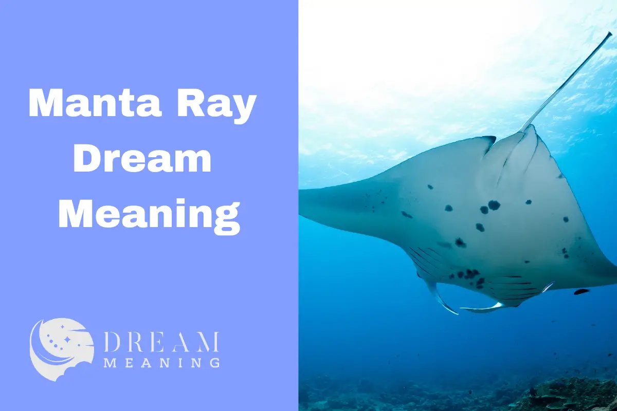 Manta Ray Dream Meaning