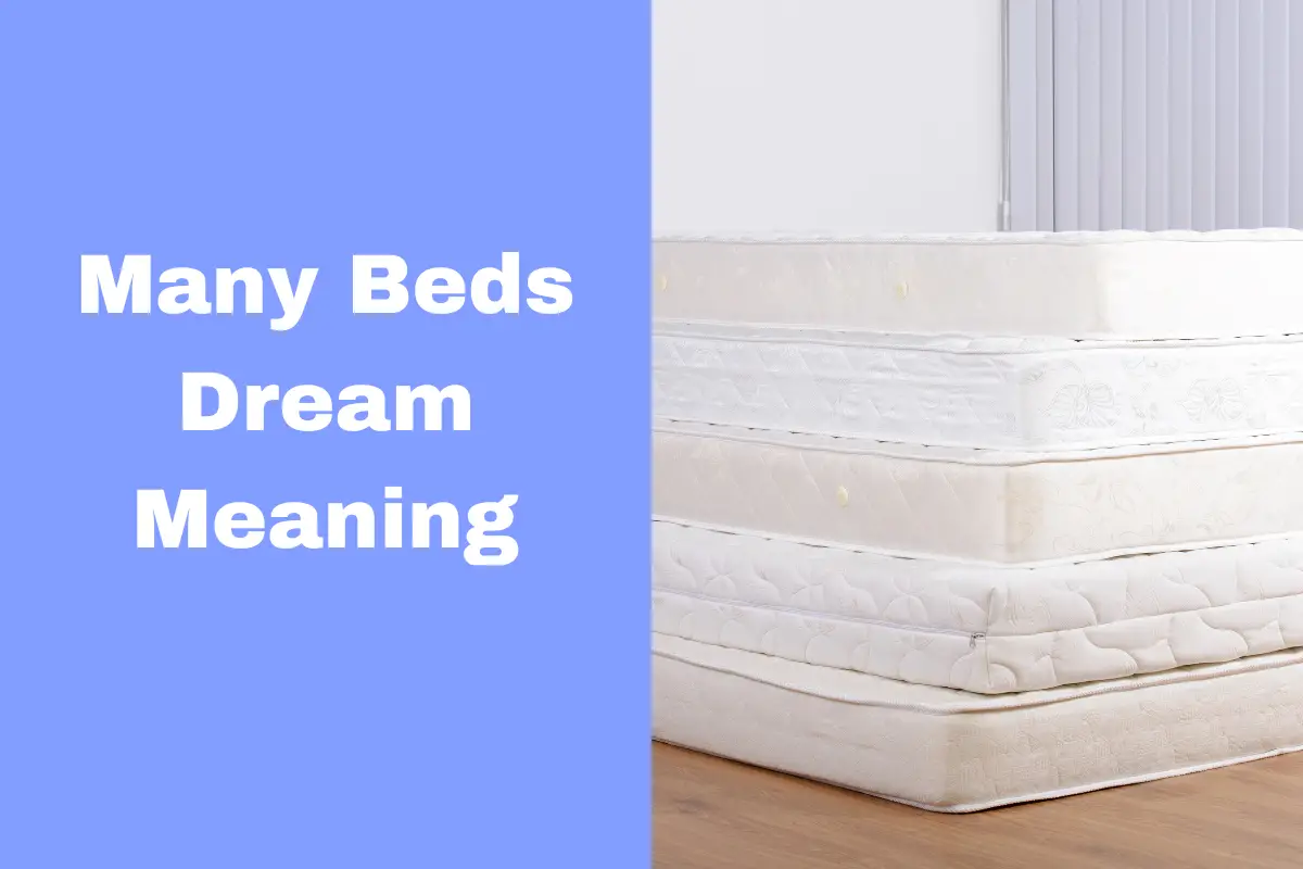 Many Beds Dream Meaning