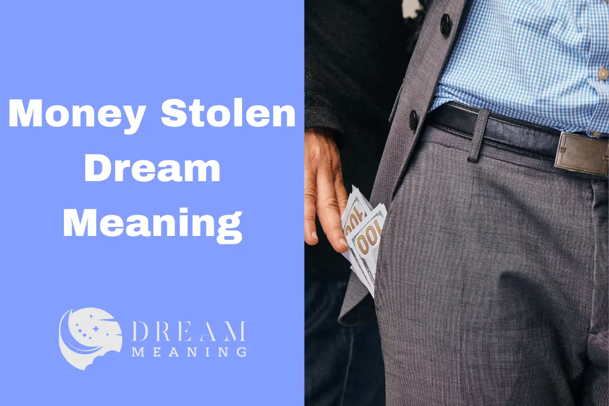 Money Stolen Dream Meaning Unravelling The Hidden Message The Dream