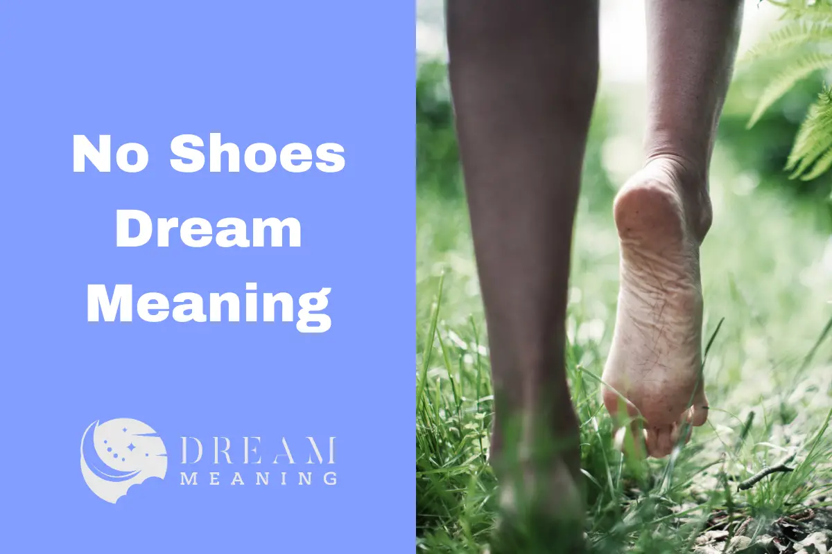 no-shoes-dream-meaning-what-does-it-mean-how-to-interpret-it-the