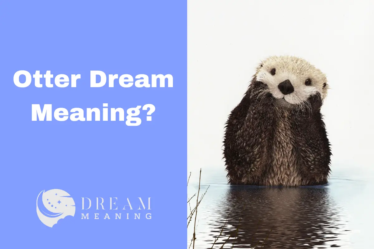 Unraveling The Meaning Of Otters In Dreams: What Does It Mean? - The