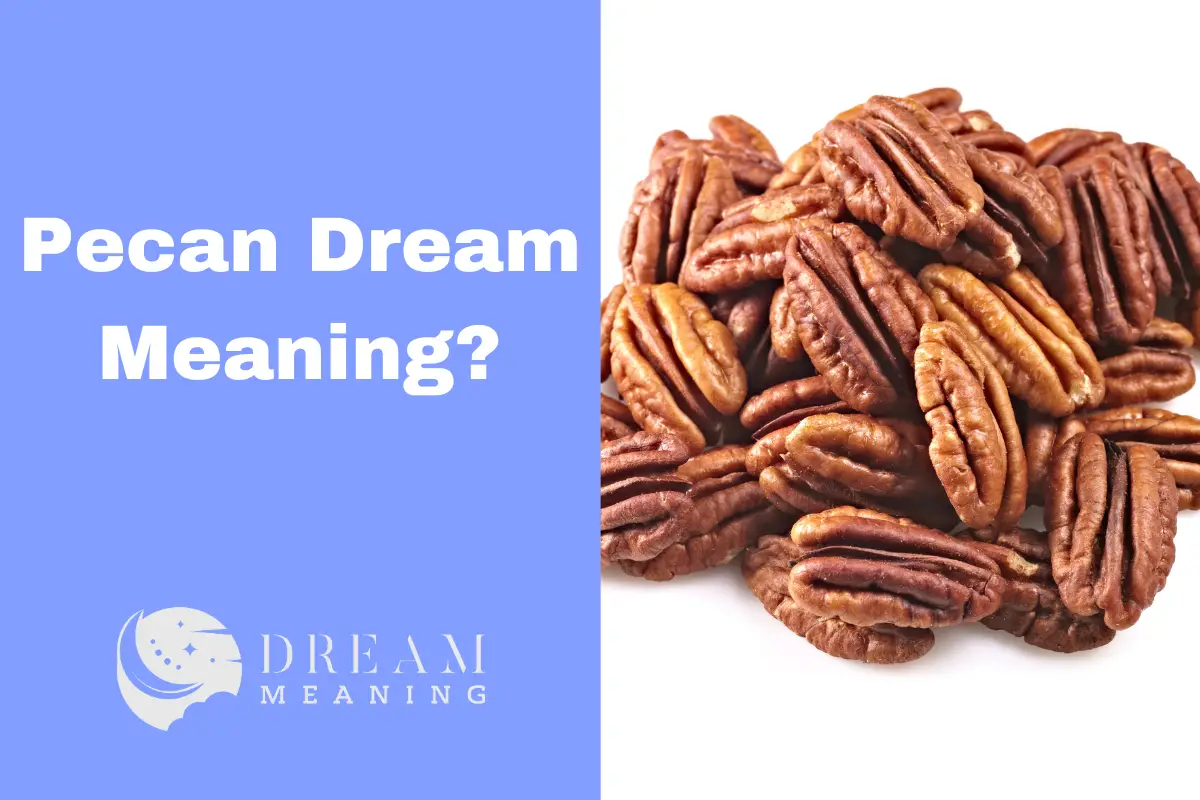 Pecan Dream Meaning