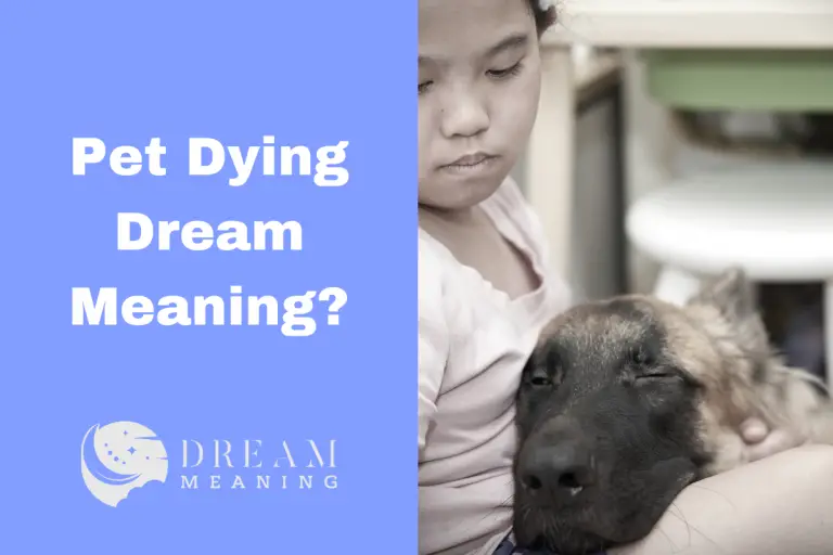 What Does It Mean When You Dream About Your Pet Dying? Exploring the