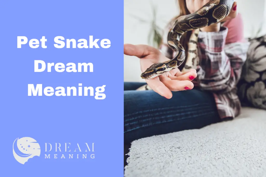 Pet Snake Dream Meaning What Does It Mean When You Dream of Snakes