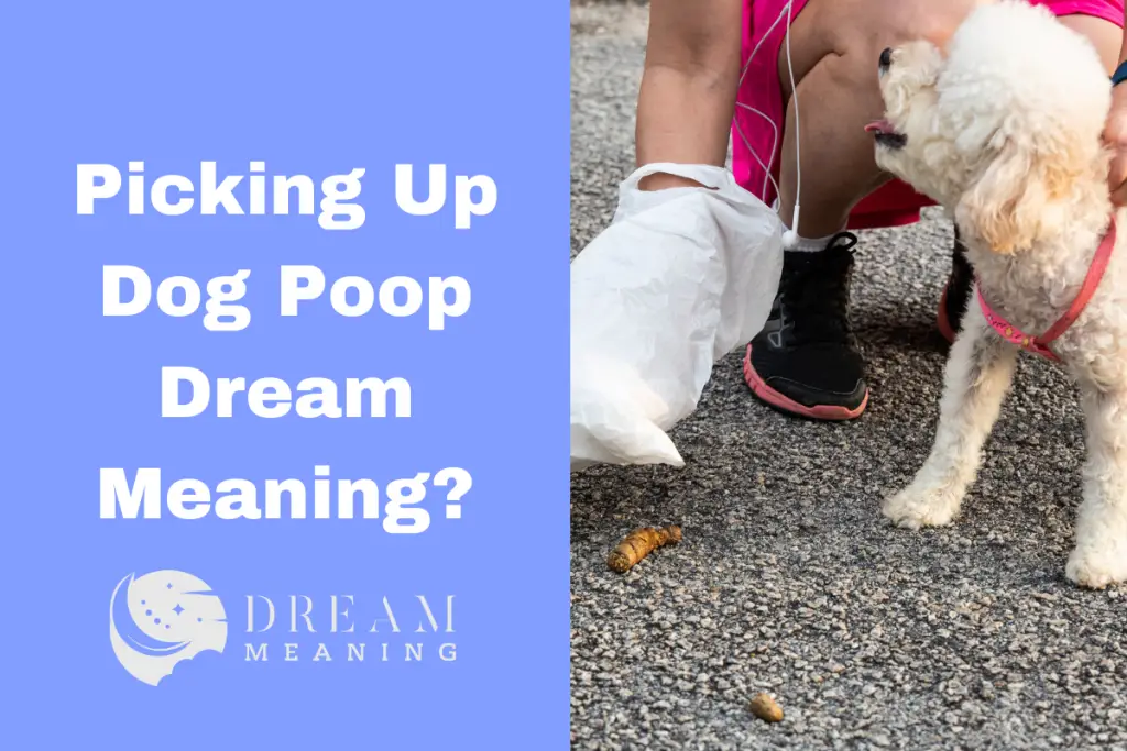 what-does-it-mean-when-you-dream-about-picking-up-dog-poop-here-s-the