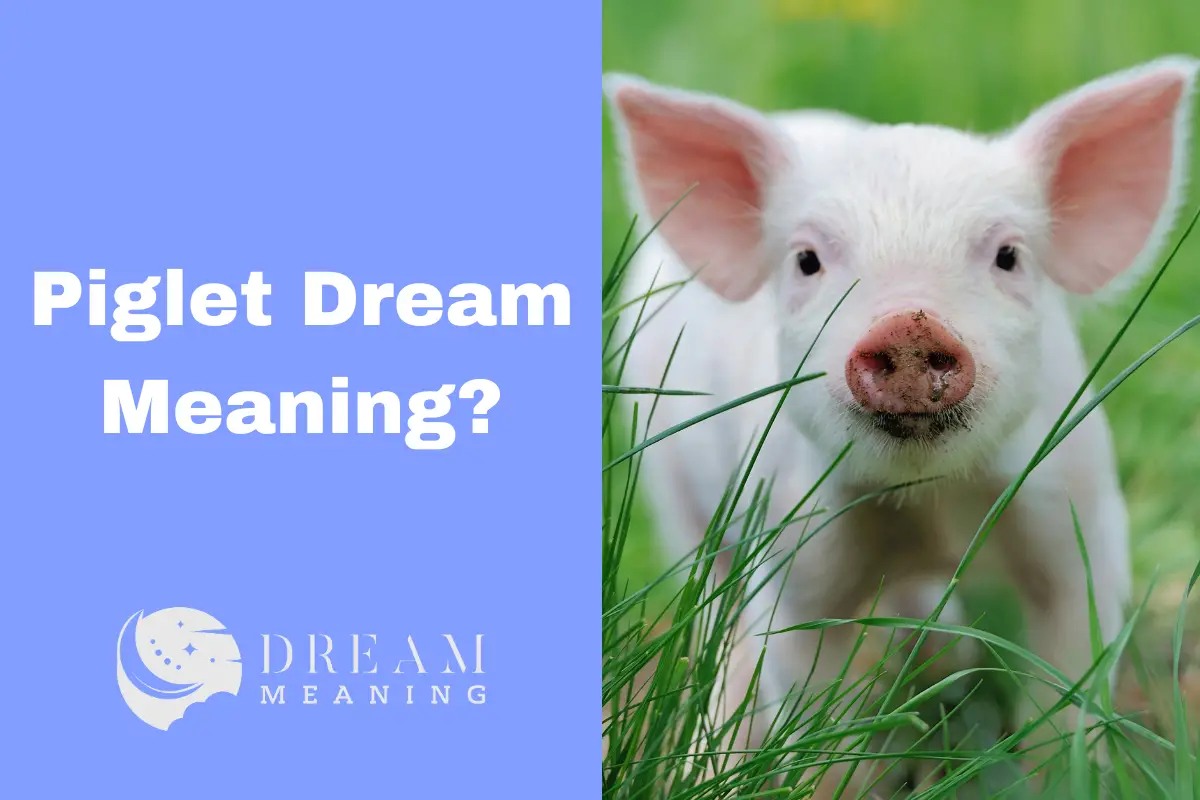 Piglet Dream Meaning