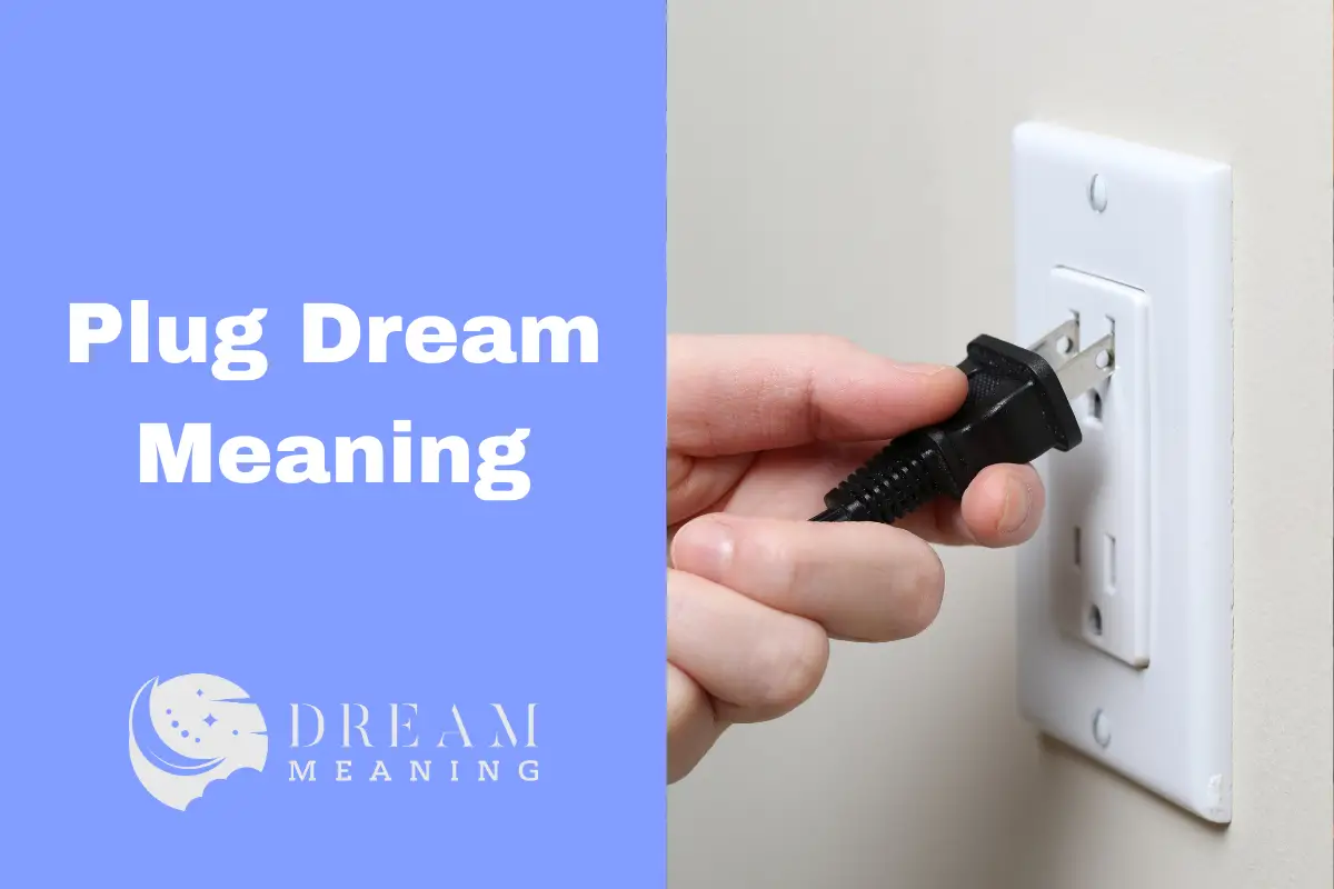 Dream Interpretation What Does It Mean When You Dream About Plug