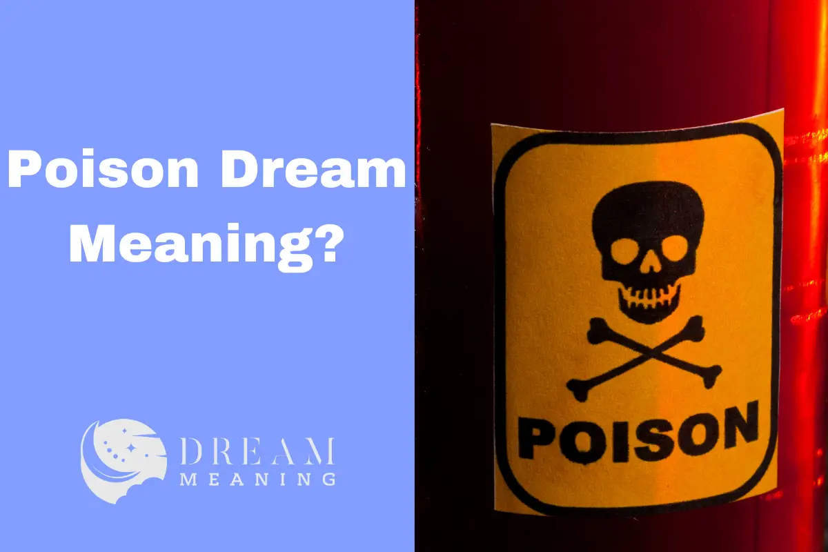 Dreaming of Poison? Uncovering The Hidden Meanings & Symbolism The