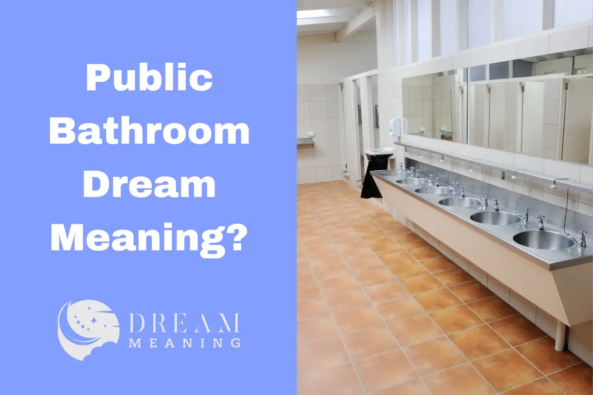 Exploring The Meaning Behind Public Bathroom Dreams What Could It Mean