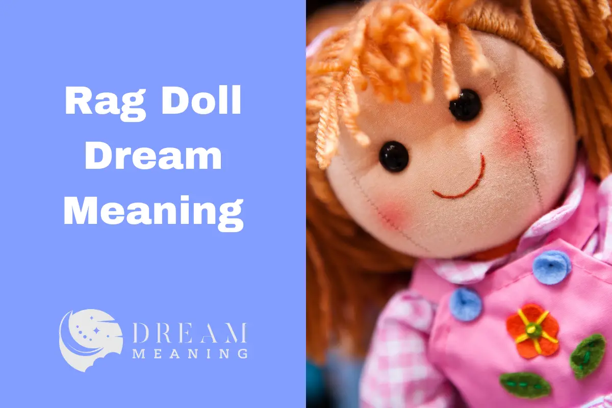 Rag Doll Dream Meaning