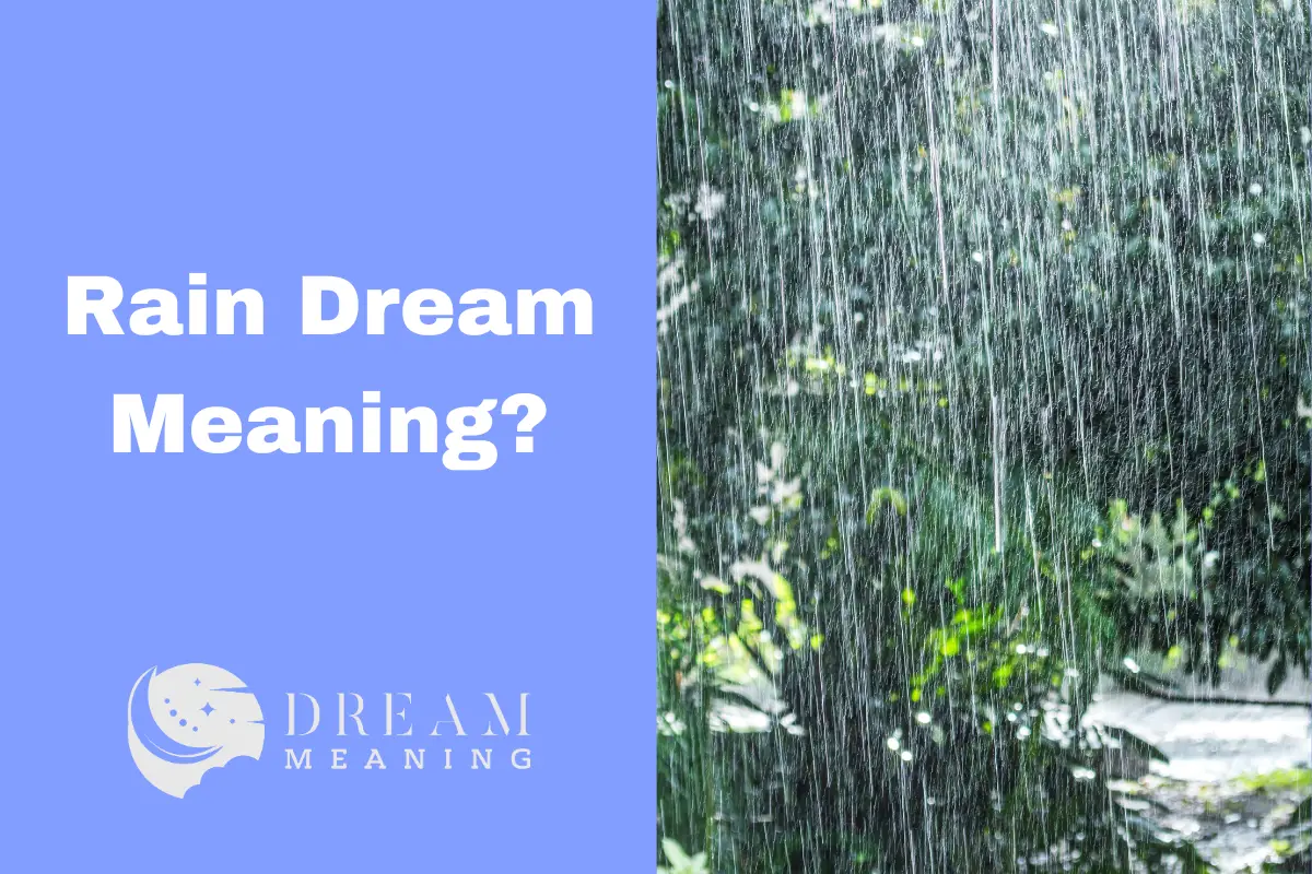 what-does-rain-mean-in-your-dreams-uncover-its-secret-meaning-the