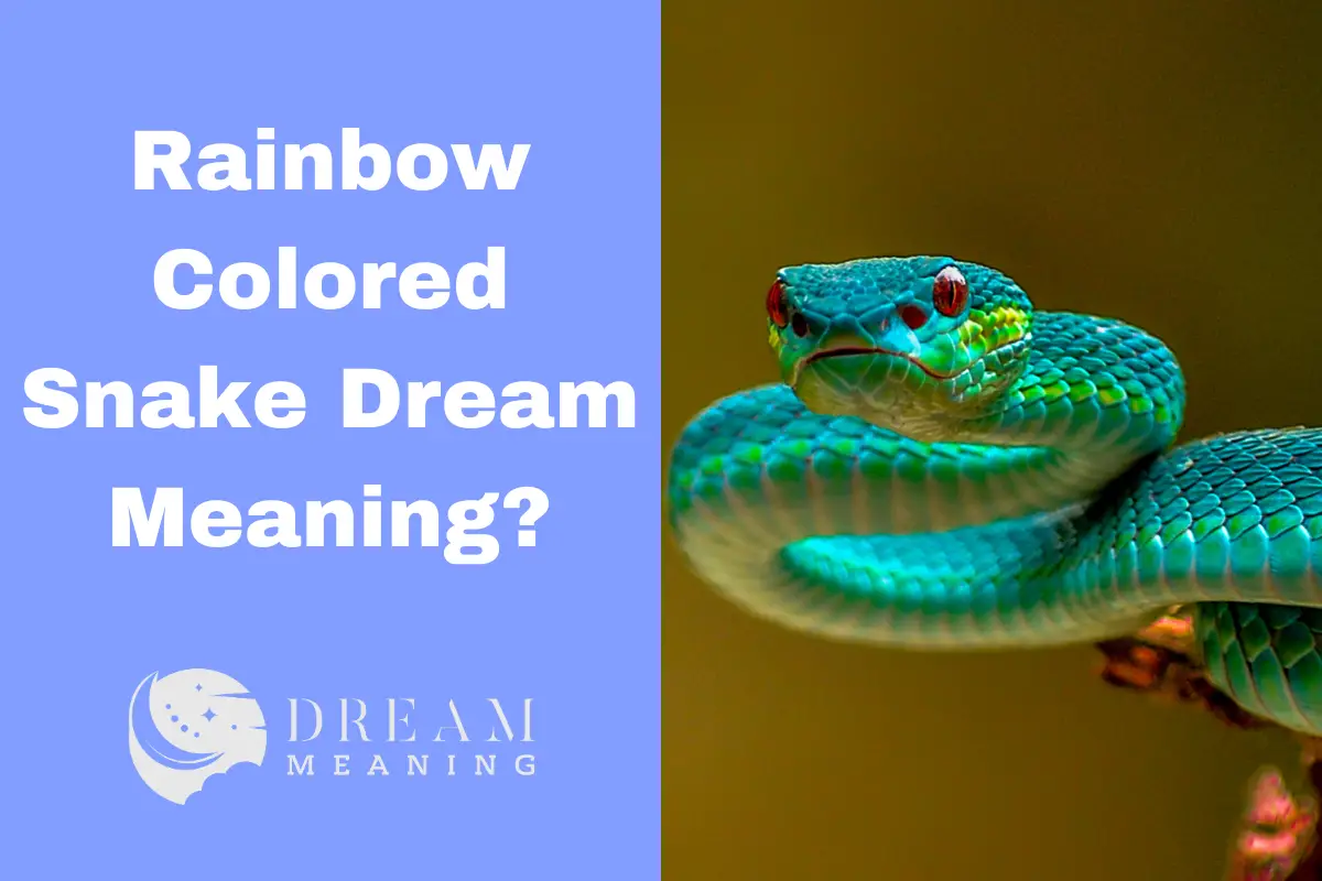 Rainbow Colored Snake Dream Meaning