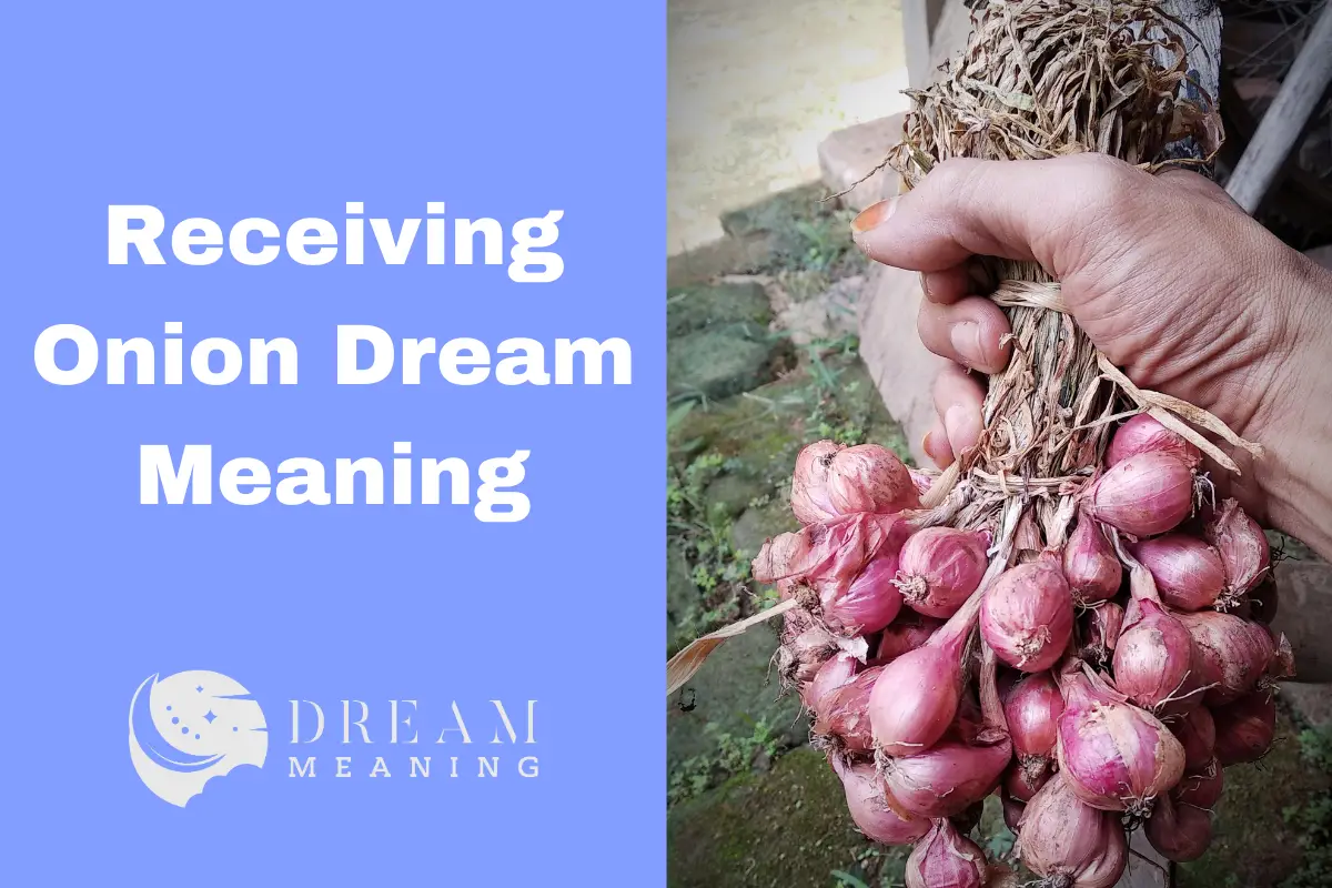 Dreaming About Receiving Onions? Here's What It Means The Dream Meaning