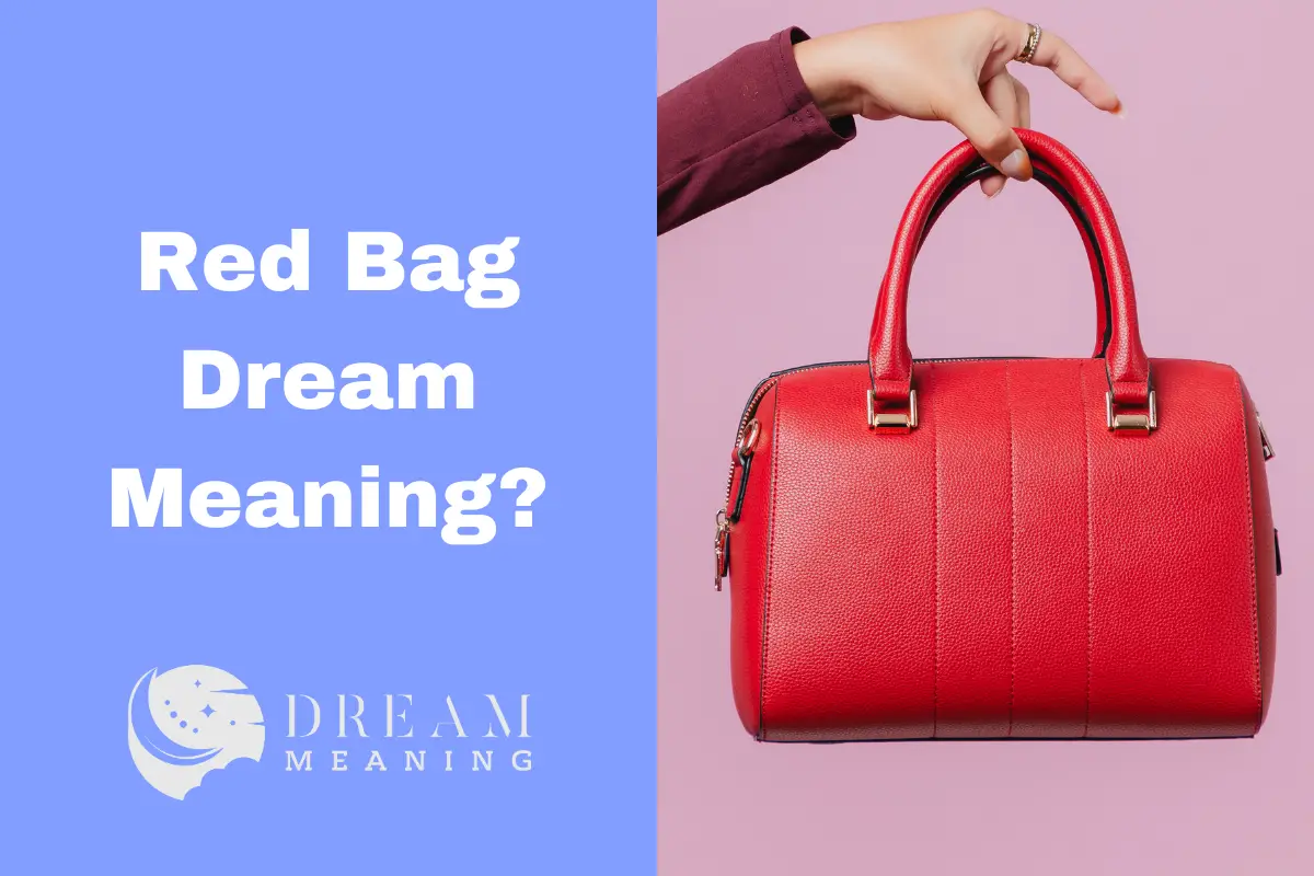 Dreaming of a Red Bag? Here's What It Might Mean... The Dream Meaning