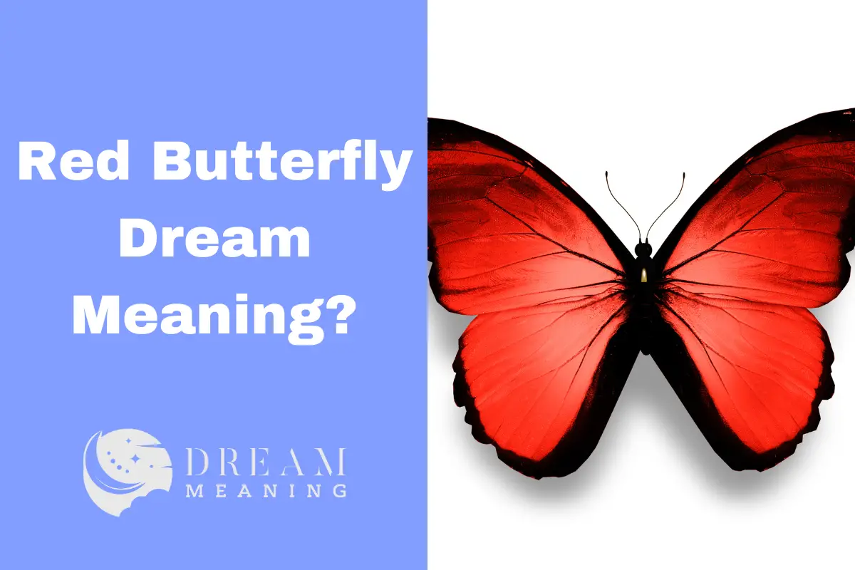 Uncover The Red Butterfly Dream Meaning A Powerful Symbol Of