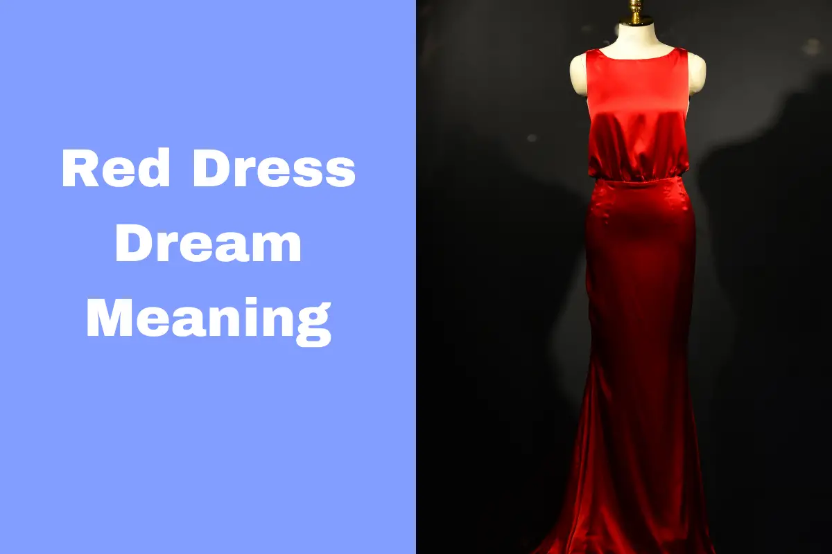Red Dress Dream Meaning