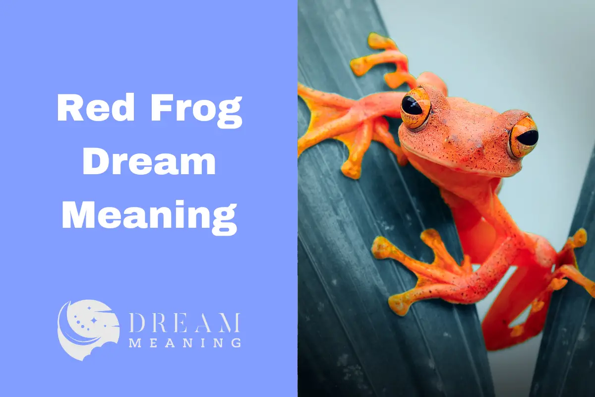 Red Frog Dream Meaning Uncovering The Symbolism Behind This Rare Sight The Dream Meaning